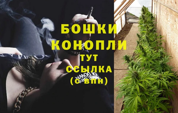 гашиш Новодвинск