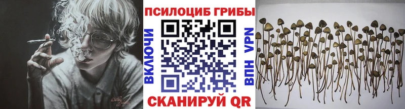 Галлюциногенные грибы прущие грибы Абаза