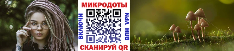 что такое наркотик  MEGA зеркало  Псилоцибиновые грибы Magic Shrooms  Абаза 