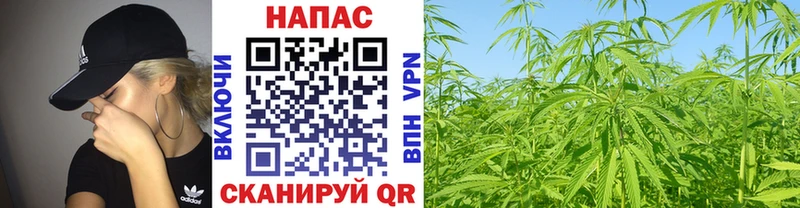 купить наркотик Абаза Марихуана тримм